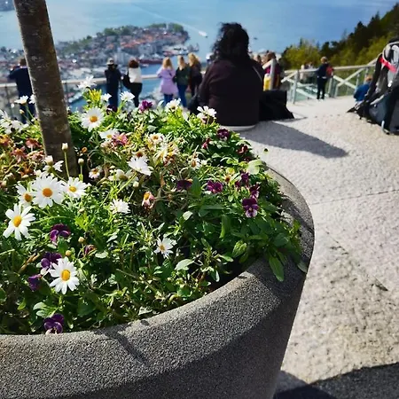 Floien House -free Parking Apartmán *