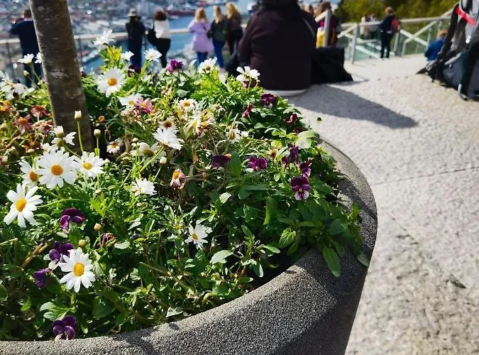 Floien House -free Parking 아파트 *